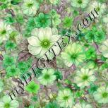 Colour:D