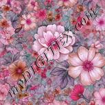 Colour:B