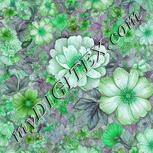 Colour:C