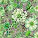 Colour:D