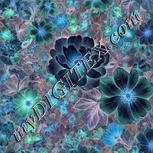 Colour:F