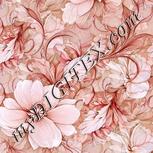Colour:B