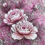 Colour:B