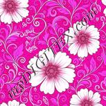 Colour:B