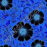 Colour:F