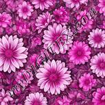 Colour:B
