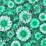 Colour:C