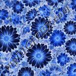 Colour:F
