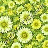 Colour:K