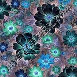 Colour:F