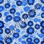 Colour:F