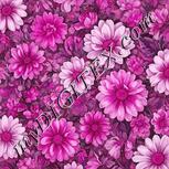 Colour:B