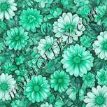 Colour:C