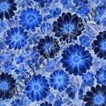 Colour:F