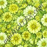 Colour:K