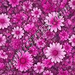 Colour:B