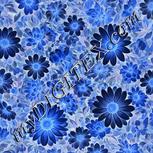 Colour:F