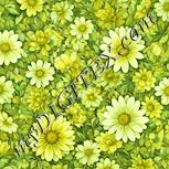 Colour:K