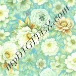 Colour:K