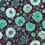 Colour:C