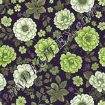 Colour:D