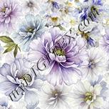 Colour:A