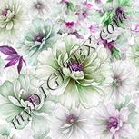 Colour:B