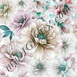 Colour:C