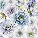 Colour:D