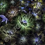 Colour:F