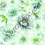 Colour:K
