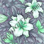 Colour:C