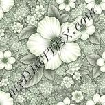 Colour:D