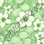 Colour:K