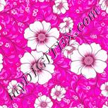Colour:B
