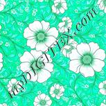 Colour:C
