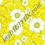 Colour:K