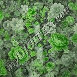 Colour:D