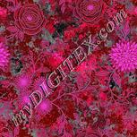 Colour:B