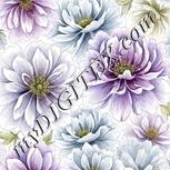 Colour:A
