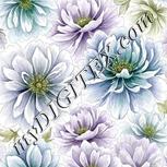 Colour:D