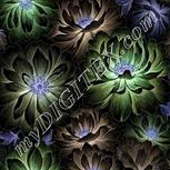 Colour:F