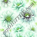 Colour:K