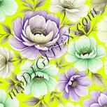 Colour:D