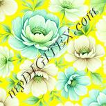 Colour:K