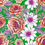 Colour:B