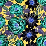 Colour:F