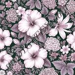 Colour:B