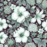 Colour:C