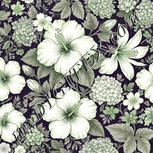 Colour:D